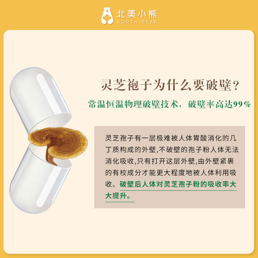 加拿大灵芝孢子粉灵芝精华胶囊360粒 250mg #石家庄仓 商品图5
