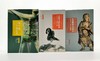 艺术与鉴藏三种：《西雅图的艺术传奇：富勒的中国艺术品收藏》《中国书画在日本：关西百年鉴藏记录》《福开森与中国艺术》，16开，美 聂婷等著，上海书画出版社2017年版 商品缩略图2