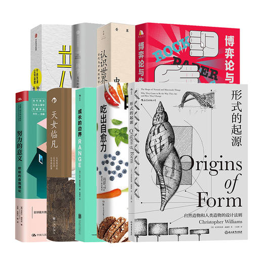 公号0506头条 一键打包 商品图0