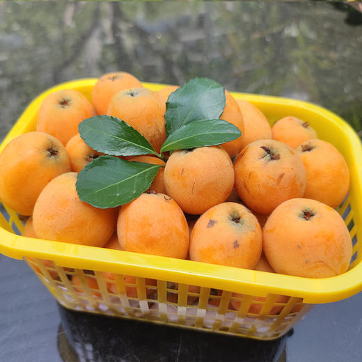 四川攀枝花大红袍枇杷3斤份筐