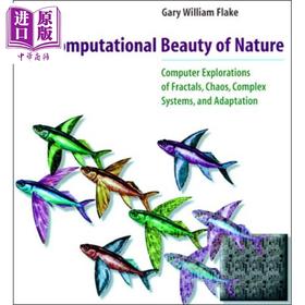 【中商原版】自然的计算美 The Computational Beauty of Nature 英文原版 Gary William Flake 豆瓣高分阅读 计算机科学