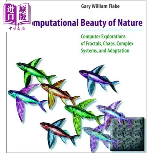 【中商原版】自然的计算美 The Computational Beauty of Nature 英文原版 Gary William Flake 豆瓣高分阅读 计算机科学 商品图0