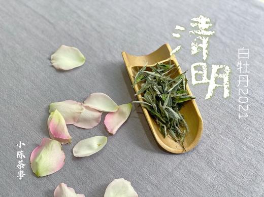 2021清明白牡丹《杏花雨》，在洋槐甜香与幽兰清香间自如转换（100克装） 商品图4