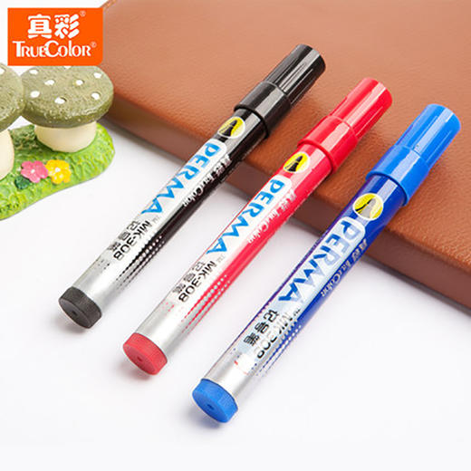 真彩记号笔MK-308 商品图2