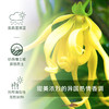 完全依兰 Ylang 单方精油 5ml梵溪花园 商品缩略图1