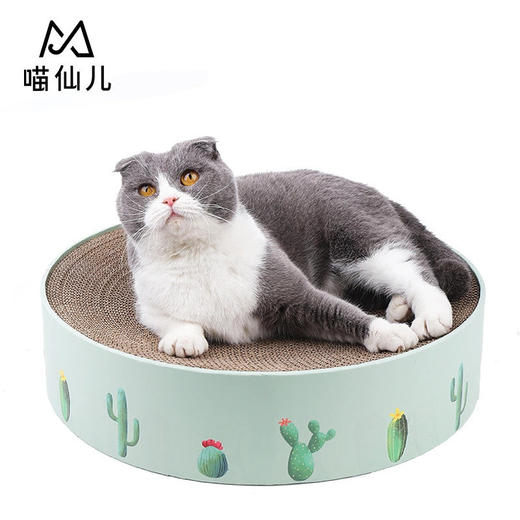 【宠物用品】	 喵仙儿  仙人掌猫抓板窝 圆形瓦楞纸盆 商品图4