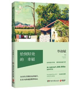 恰到好处的幸福（2017年纪念版）