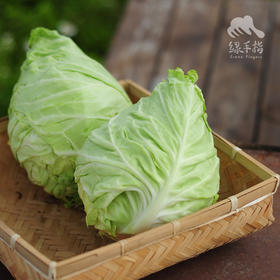 生态牛心甘蓝 | 合作生产* Eco-Beef cabbage | Co-produced