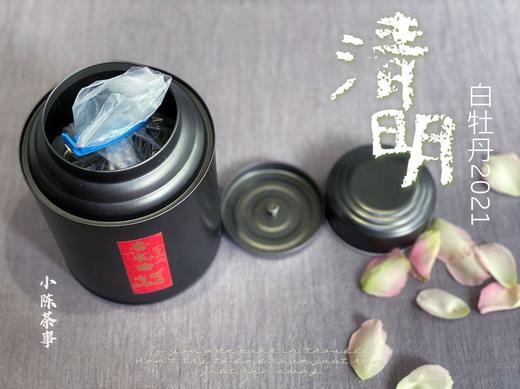 2021清明白牡丹《杏花雨》，在洋槐甜香与幽兰清香间自如转换（100克装） 商品图3