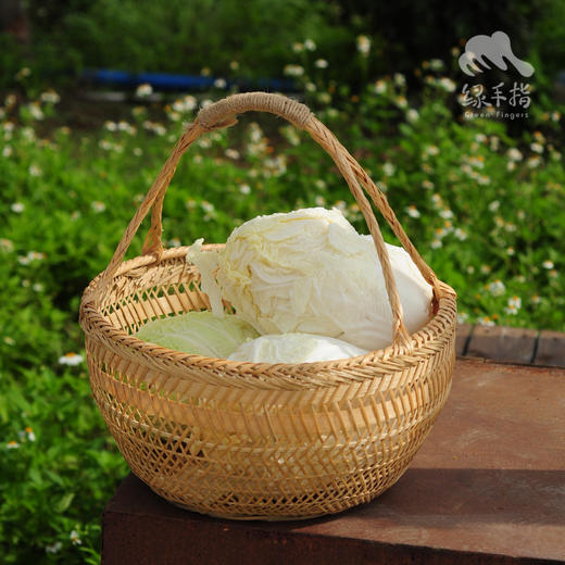 生态春白菜 | 合作生产* Eco-Spring Chinese cabbage | Co-produced 商品图2