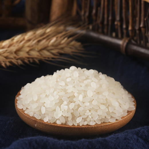 袁隆平辽河基地大米2.5KG 商品图2