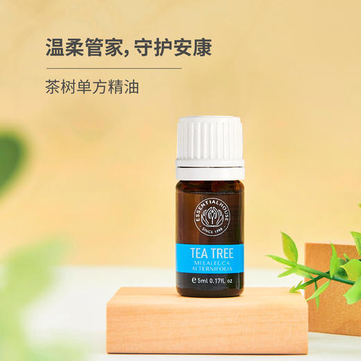 澳洲茶树 Tea Tree单方精油 5ml 商品图0