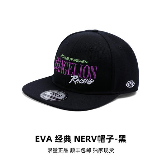 限量极少，卖完不补！DPLS x EVA RACING限量周边 Tee/卫衣/帽子/靠垫 商品图6