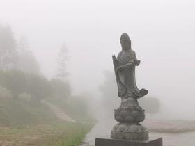 自然法则丨让修行成为时尚