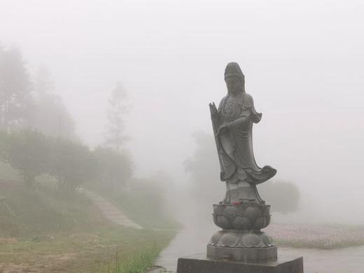 自然法则丨让修行成为时尚 商品图0