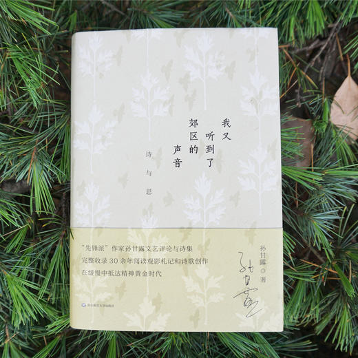 我又听到了郊区的声音 诗与思 先锋派作家孙甘露文艺评论与诗集 商品图1