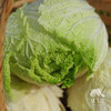 生态春白菜 | 合作生产* Eco-Spring Chinese cabbage | Co-produced 商品缩略图1