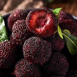 【空运.云南杨梅】2斤/4斤/份，色泽鲜艳、汁多饱满 商品图1