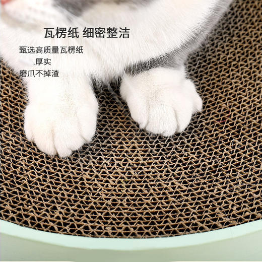 【宠物用品】	 喵仙儿  仙人掌猫抓板窝 圆形瓦楞纸盆 商品图3