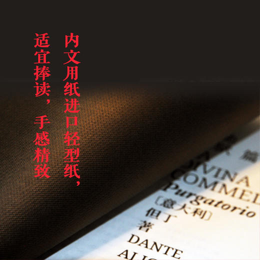 【译林 《神曲》（全三册）】 商品图6