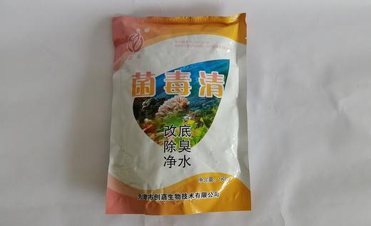 创嘉 菌毒清 20% 商品图2