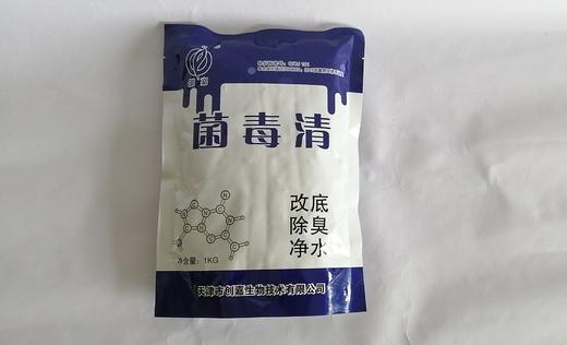创嘉 菌毒清 10% 商品图2