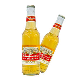 百威纯生啤酒【335ml】