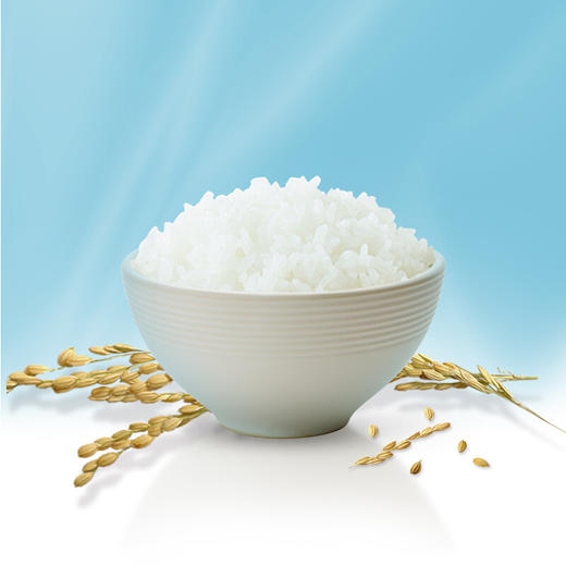 袁隆平辽河基地大米2.5KG 商品图3
