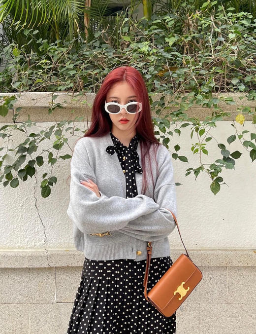 𝐂𝐄𝐋𝐈𝐍𝐄 凯旋牛皮腋下包-棕色（原厂皮） 商品图4