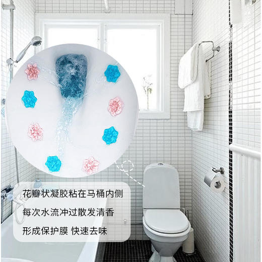 【买1送1买2送3买3送5】洁厕新时代清洁除臭持久留香芳香花瓣洁厕凝胶【花色随机】 商品图2