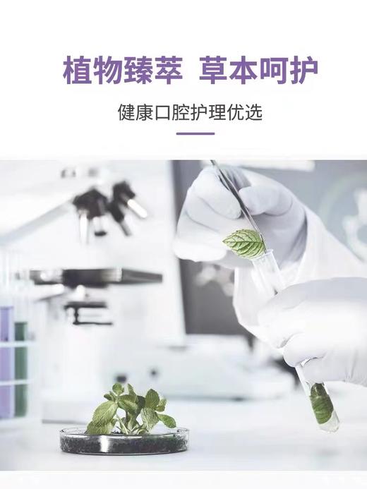 【买1送1 买2送2】抗敏感紫草牙膏hp去黄牙垢牙结石牙炎除口臭口气清新 商品图7