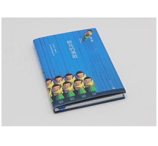 候鸟的勇敢 商品图1