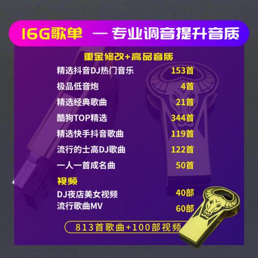 【积分专享】车载音乐U盘 上千首音乐随时点燃你的路途 商品图0