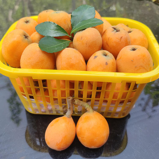 四川攀枝花大红袍枇杷3斤份筐