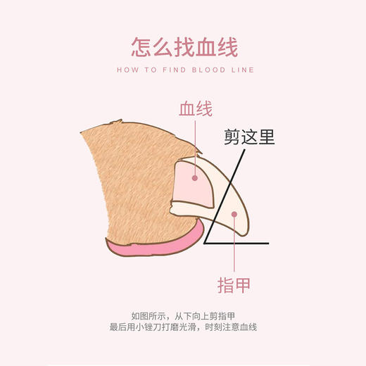 【宠物用品】宠物猫咪狗狗指甲剪 商品图1