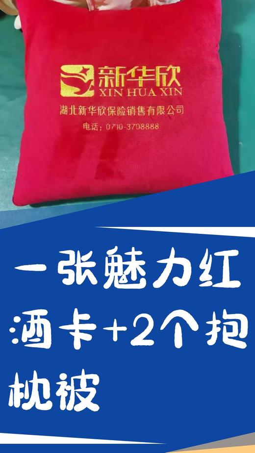 一张魅力卡+2个新华欣抱枕 商品图0