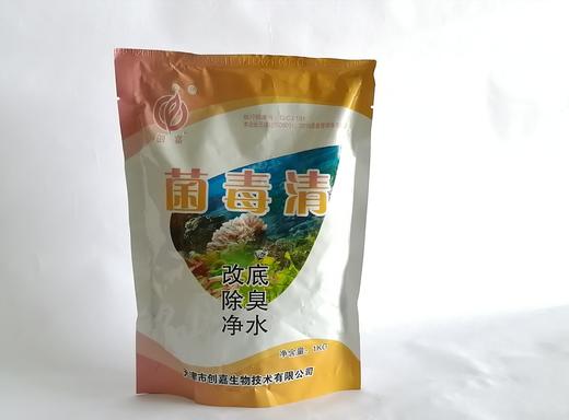 创嘉 菌毒清 20% 商品图0