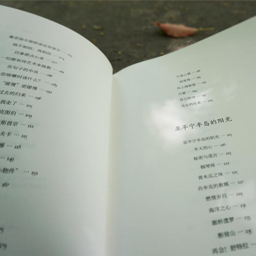 我又听到了郊区的声音 诗与思 先锋派作家孙甘露文艺评论与诗集 商品图3