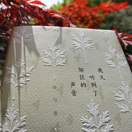 我又听到了郊区的声音 诗与思 先锋派作家孙甘露文艺评论与诗集 商品图2