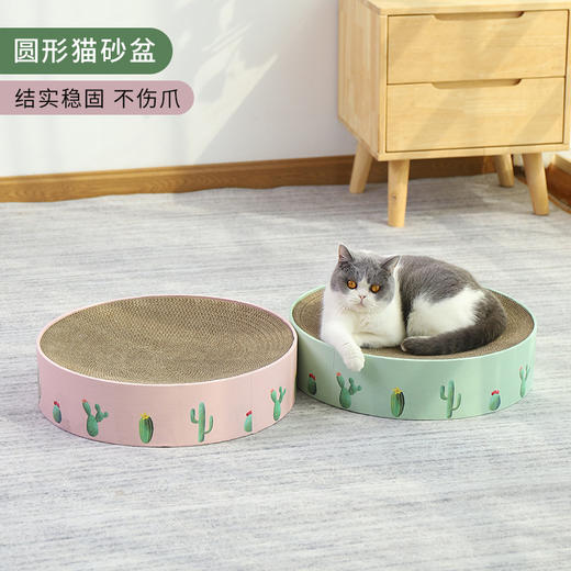 【宠物用品】	 喵仙儿  仙人掌猫抓板窝 圆形瓦楞纸盆 商品图0