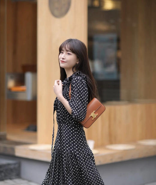 𝐂𝐄𝐋𝐈𝐍𝐄 凯旋牛皮腋下包-棕色（原厂皮） 商品图1