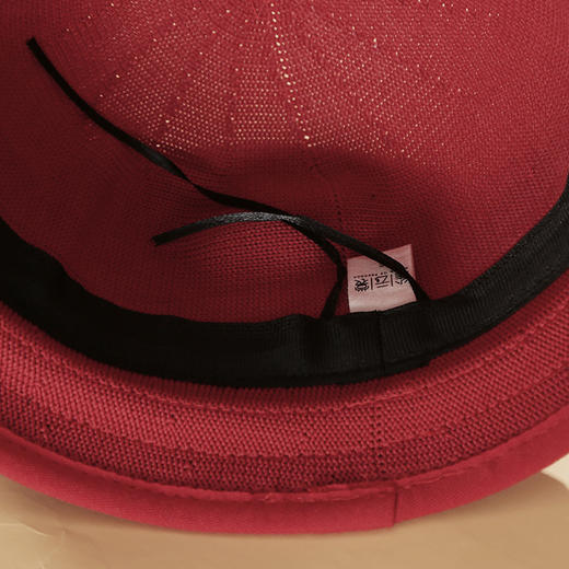 枕山栖谷帽子 | 杨丽萍老师挚爱款 商品图3