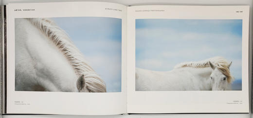 张耕畦《山野·良马》中国摄影出版社 商品图9