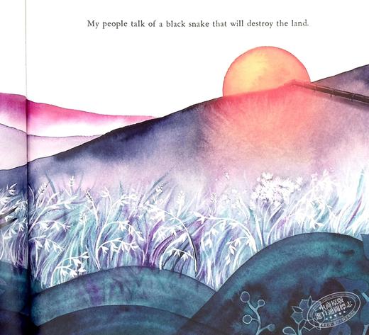 【中商原版】WE ARE WATER PROTECTORS 凯迪克 我们是水的守护者 2021年凯迪克金奖 儿童环境保护意识启蒙故事绘本 精装 英文原版 商品图6