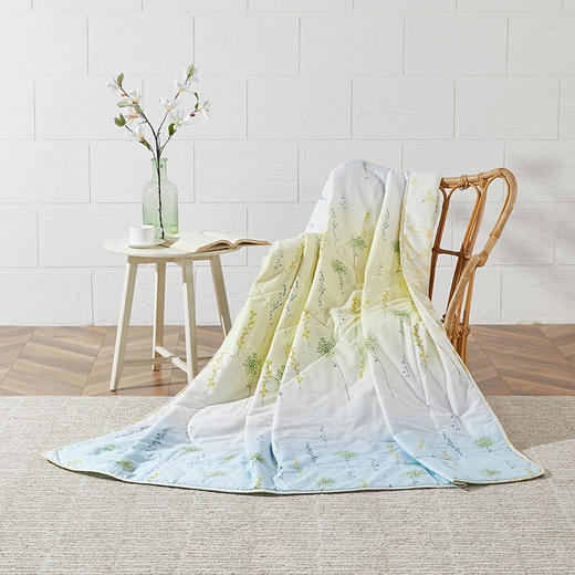 罗莱家纺 水洗蚕丝空调被 180*200cm    XHR 商品图2