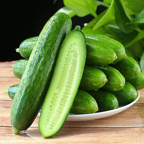 水果小黄瓜（清甜可口） 商品图1