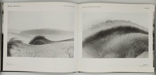 张耕畦《山野·良马》中国摄影出版社 商品图7