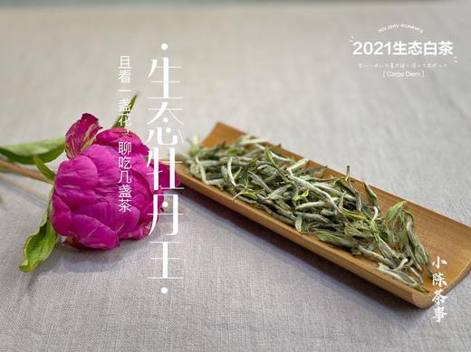 高雅华贵，小陈茶事第三款春茶2021有机牡丹王登场（1斤收藏装） 商品图1