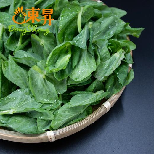 东升农场   豆苗   豌豆尖 荷兰豆苗 新鲜配送200g 商品图3