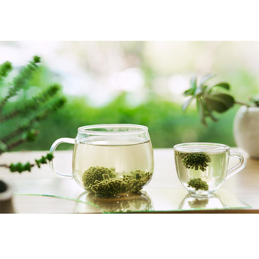 三七花 50克/瓶*2瓶 商品图2